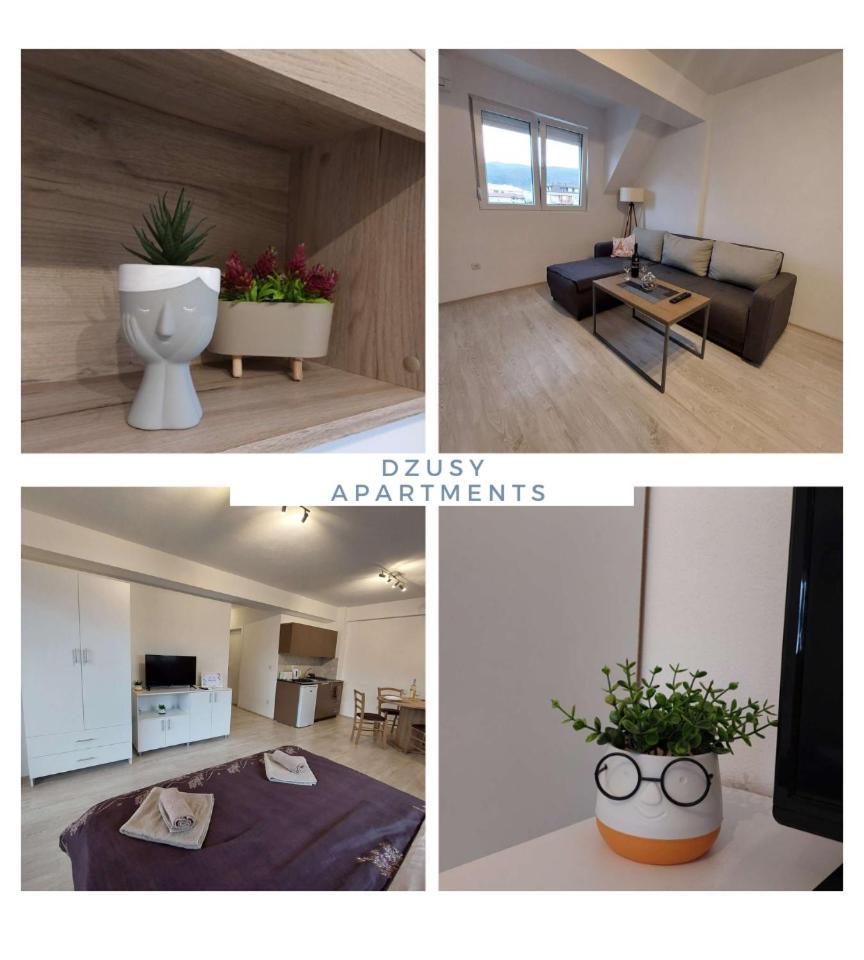 Dzusy Apartments โอครีด ภายนอก รูปภาพ